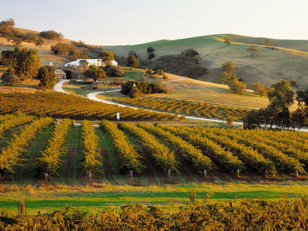 https://www.vinocorpperu.com/images/bodegas/rogersrufus/Barossa Valley-min.jpg